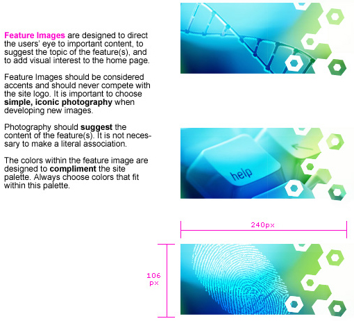 Illustration of the image use on the homepage